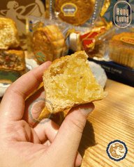 Sữa dừa