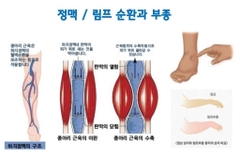 Máy massage xung điện tặng miếng dán điện cực