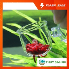 Cốc đựng giun thủy tinh cho cá cảnh