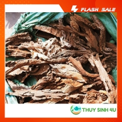 [Free Ship] 1KG lũa san đá nhỏ, Setup bể thủy sinh siêu đẹp