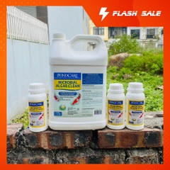 Vi sinh API Microbial Algae Clean – phân hủy mùn bã hữu cơ và tảo xanh