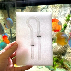 In Out thủy tinh ngắn cho bể thủy sinh, cá cảnh