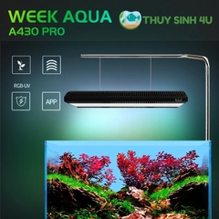 Đèn Week ARK Pro - A430 cao cấp cho bể thủy sinh