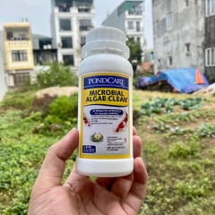 Vi sinh API Microbial Algae Clean – phân hủy mùn bã hữu cơ và tảo xanh