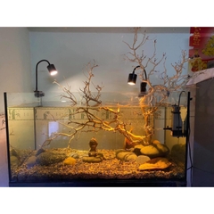 Đèn rọi bể cá thủy sinh Biotope Coco – 3 chế độ màu trong 1