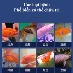 Biozym Bacteria Control - trị nấm cá, an toàn cho hệ vi sinh hồ cá thuỷ sinh