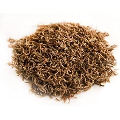 Thức ăn Biozym Dried Bloodworm (Trùng huyết sấy khô) cao cấp cho cá cảnh