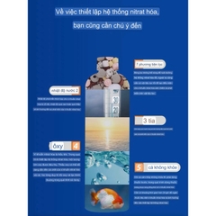 Vi sinh sống Biozym N1 đậm đặc và siêu mạnh