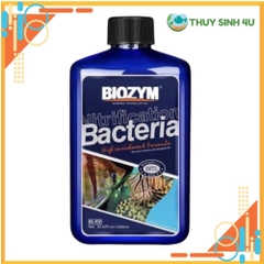 Vi sinh sống Biozym Nitrifying Bacteria cao cấp cho nước ngọt và nước mặn