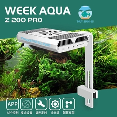 Đèn Week Z200 Pro RGB-UV chỉnh APP và đánh màu siêu đẹp