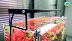 Đèn Chihiros WRGB 2 Pro - Chip LED siêu sáng đánh màu cá đẹp