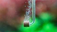 Cốc sủi CO2 Neo Tiny Normal cho bể thuỷ sinh mini, nano