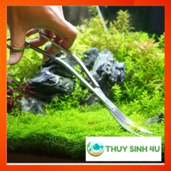 Kéo cắt tỉa thủy sinh - chất lượng cao hợp kim không rỉ