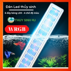 Đèn LED hồ cá WRGB Hikari - 3 chế độ màu, 6 dãy LED