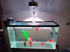 Đèn Lon Rọi COCO RGB thế hệ mới - Màu sắc đẹp, ánh sáng trong