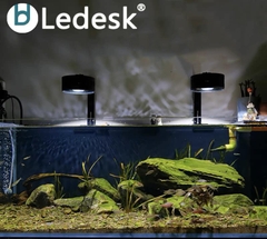Đèn thủy sinh Ledesk - Dòng đèn hoàn hảo cho bể cá cảnh Biotope