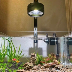 Đèn thủy sinh Ledesk - Dòng đèn hoàn hảo cho bể cá cảnh Biotope