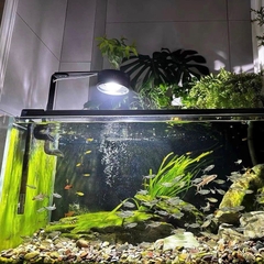 Đèn thủy sinh Ledesk - Dòng đèn hoàn hảo cho bể cá cảnh Biotope