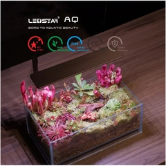 Đèn thủy sinh LEDSTAR AQ-N chuyên dụng cho bể mini và nano để bàn