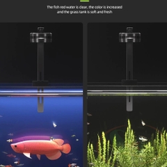 Đèn Lon Rọi Bể Cá D.Light L1 Pro - Chơi bể biotope, cá cảnh lên màu đẹp