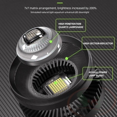 Đèn Lon Rọi Bể Cá D.Light L1 Pro - Chơi bể biotope, cá cảnh lên màu đẹp