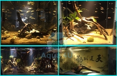 Đèn rọi bể cá thủy sinh Biotope – 3 chế độ màu trong 1