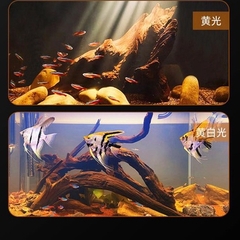 Đèn rọi hồ cá chỉnh tiêu cự Spot Light Biotope với 3 chế độ sáng