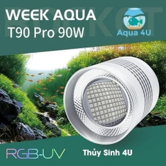Đèn Week T90 Pro RGB-UV cao cấp - Bảo hành 1 tháng