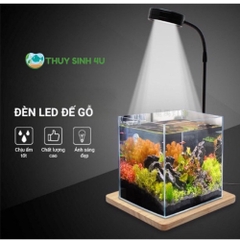Đèn LED đế gỗ Terrarium để bàn - Đèn led cho bể bán cạn