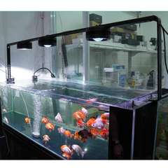 Giá treo đèn chũ U - Thanh ray treo đèn bể cá thủy sinh