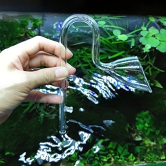 In Out thủy tinh ngắn cho bể thủy sinh, cá cảnh