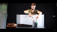 Phân nền TROPICA – Aquarium Soil 9L