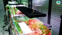 Đèn Chihiros WRGB 2 Pro - Chip LED siêu sáng đánh màu cá đẹp