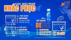 Detox Koika - Xử lý Clo, kim loại nặng, chống sốc cá và khử độc tố