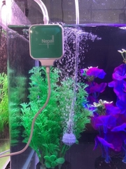 Máy sủi Oxy Nepall nhỏ gọn, rất êm, có sẵn dây và quả sủi