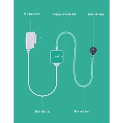 Máy sủi Oxy Nepall nhỏ gọn, rất êm, có sẵn dây và quả sủi