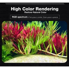 Đèn thủy sinh Neo Helios Flat XP Series Solar – RGB 3 in 1