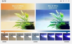 Đèn ONF Flat ONE Pendant 60cm và 90cm