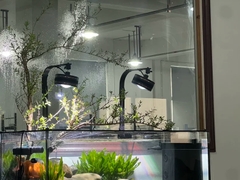 Đèn Lon Aqua LED WRGB ánh sáng đẹp cho bể Biotope