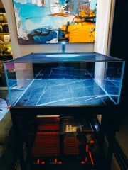 Đèn Lon Aqua LED WRGB ánh sáng đẹp cho bể Biotope