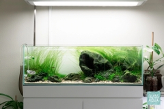 Đèn ONF Flat ONE Pendant 60cm và 90cm