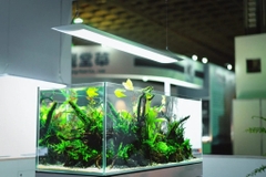 Đèn ONF Flat ONE Pendant 60cm và 90cm