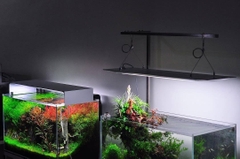 Đèn ONF Flat ONE Pendant 60cm và 90cm