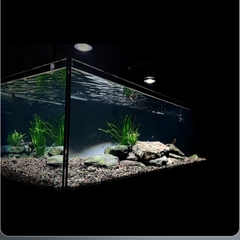 Đèn Rọi Super Color Pro Linlight (100W) - Giải Pháp Tối Ưu Cho Màu Sắc Cá Cảnh