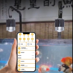 Đèn Rọi Super Color Pro Linlight (100W) - Giải Pháp Tối Ưu Cho Màu Sắc Cá Cảnh