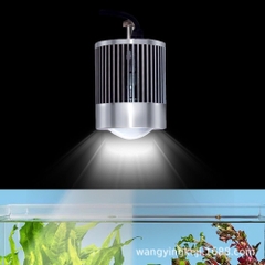 Đèn Rọi Super Color Pro Linlight (100W) - Giải Pháp Tối Ưu Cho Màu Sắc Cá Cảnh