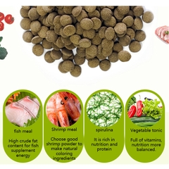 Thức ăn Pleco cao cấp Biozym Benthic Food Sinking Tablets