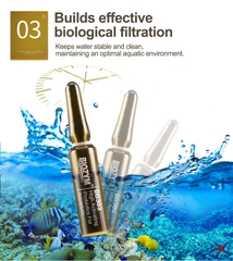 Vi sinh sống Biozym 303 (Hộp 20 ống) siêu mạnh, cao cấp