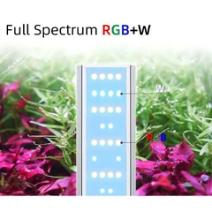 Đèn thủy sinh Week Raptor 2.0 WRGB (3 in 1) màu cây, cá cảnh cực đẹp