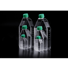 SPL Cell Culture Flask